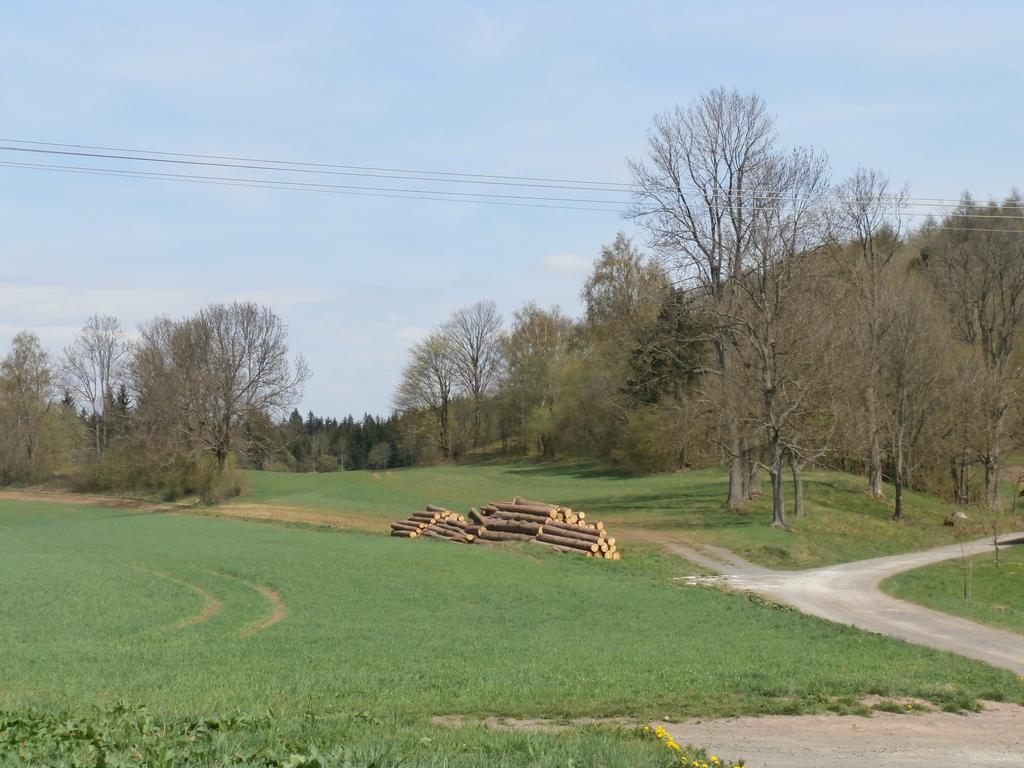 Apartmany Na Rozcesti Lomnice nad Popelkou Pokój zdjęcie